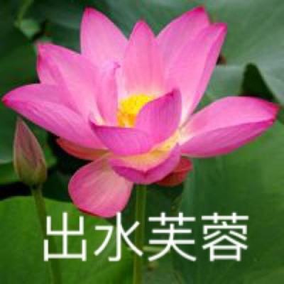 投资中国成跨国公司必选项 跨国公司加码中国投资